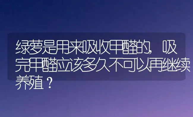 绿萝是用来吸收甲醛的,吸完甲醛应该多久不可以再继续养殖？ | 植物问答