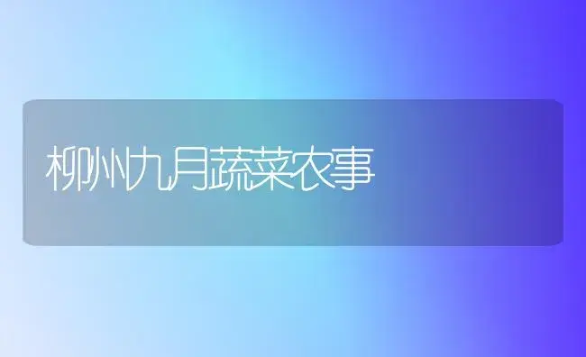 柳州九月蔬菜农事 | 植物科普