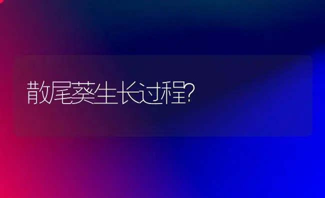 散尾葵生长过程？ | 植物问答