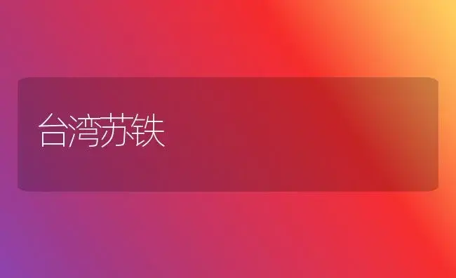 台湾苏铁 | 植物知识