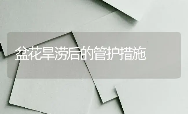 盆花旱涝后的管护措施 | 植物知识
