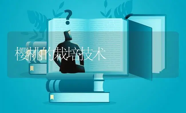 樱桃的栽培技术 | 植物百科