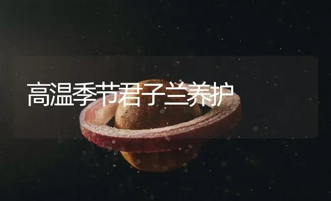 高温季节君子兰养护 | 植物知识