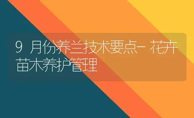 9月份养兰技术要点-花卉苗木养护管理 | 植物知识