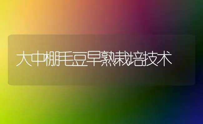 大中棚毛豆早熟栽培技术 | 植物百科