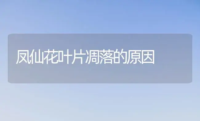 凤仙花叶片凋落的原因 | 植物知识