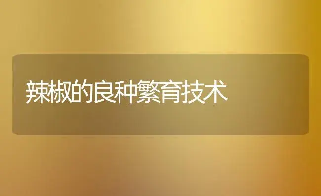 辣椒的良种繁育技术 | 植物科普