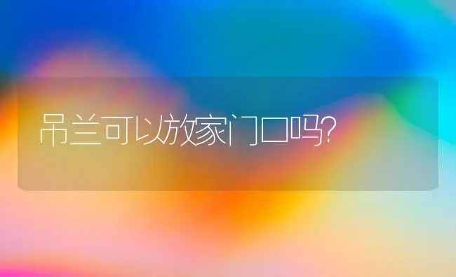 吊兰可以放家门口吗？ | 植物问答