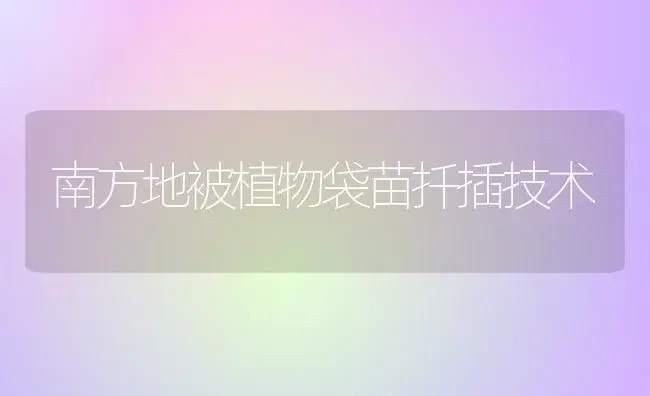 蝴蝶兰图片|蝴蝶兰的养殖方法|蝴蝶兰的种植技术|蝴蝶兰怎么养 | 植物科普