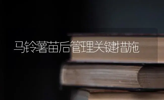 牡丹夏季管理从三方面入手 | 植物科普