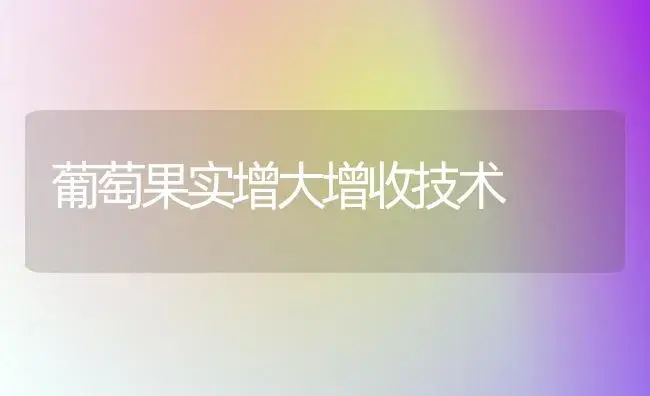 葡萄果实增大增收技术 | 植物百科