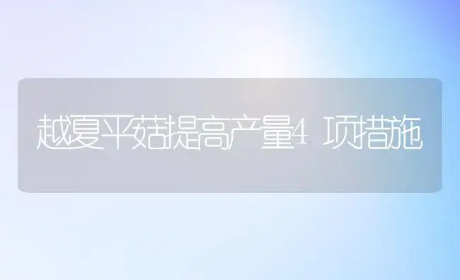 越夏平菇提高产量4项措施 | 植物科普