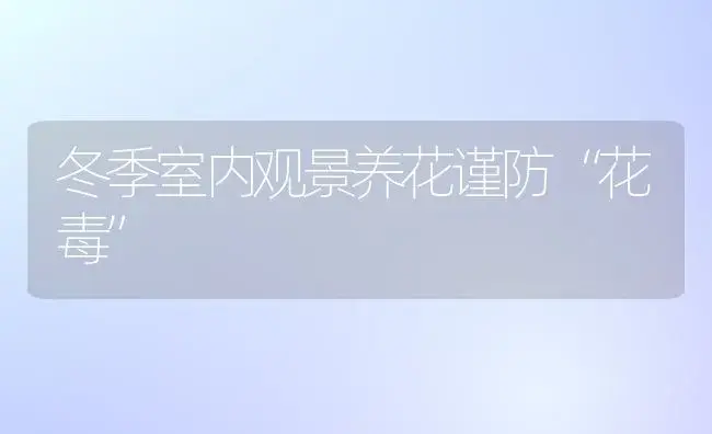 冬季室内观景养花谨防“花毒” | 植物知识