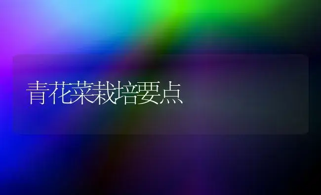 青花菜栽培要点 | 植物百科