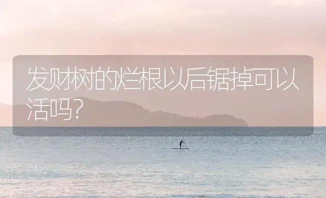 发财树的烂根以后锯掉可以活吗？ | 植物问答