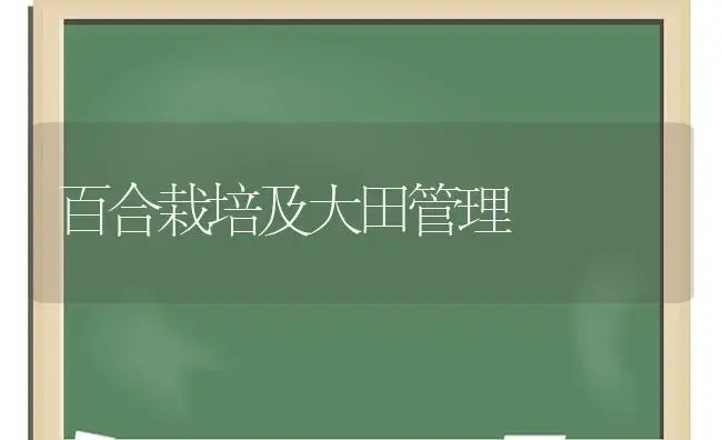 百合栽培及大田管理 | 植物科普