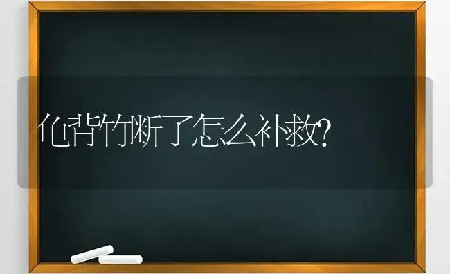 龟背竹断了怎么补救？ | 植物问答