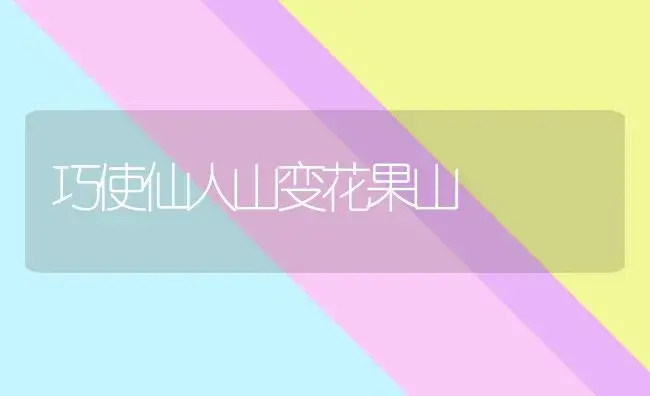 巧使仙人山变花果山 | 植物知识