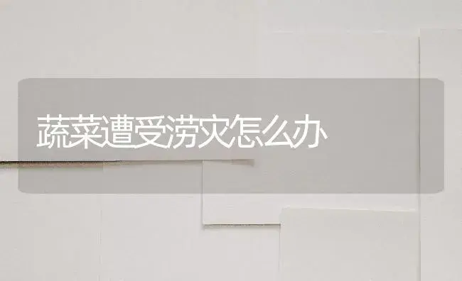 蔬菜遭受涝灾怎么办 | 植物百科
