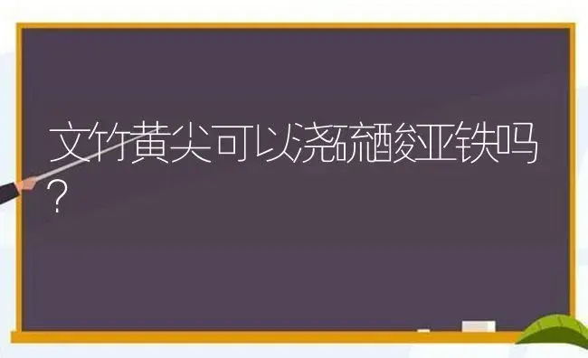 文竹黄尖可以浇硫酸亚铁吗？ | 植物问答