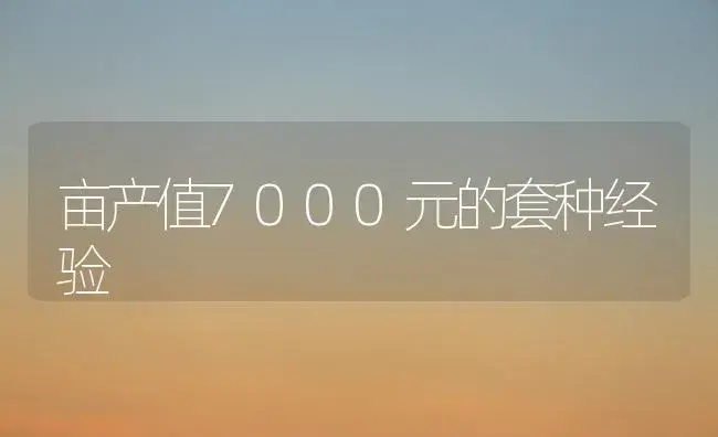 君子兰为什么叶片会发黄 | 植物科普