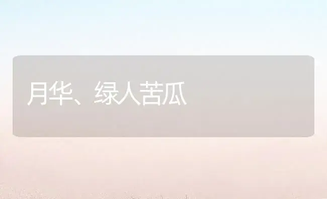 月华、绿人苦瓜 | 植物百科