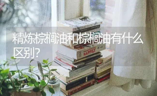 精炼棕榈油和棕榈油有什么区别？ | 植物问答