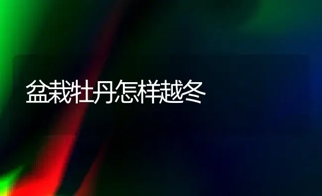 盆栽牡丹怎样越冬 | 植物科普