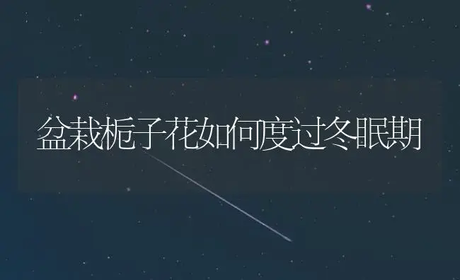 盆栽栀子花如何度过冬眠期 | 植物知识