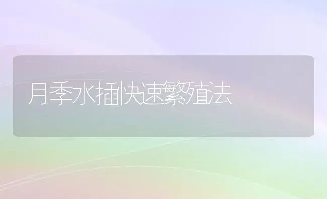 月季水插快速繁殖法 | 植物知识