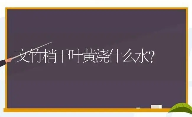 文竹梢干叶黄浇什么水？ | 植物问答