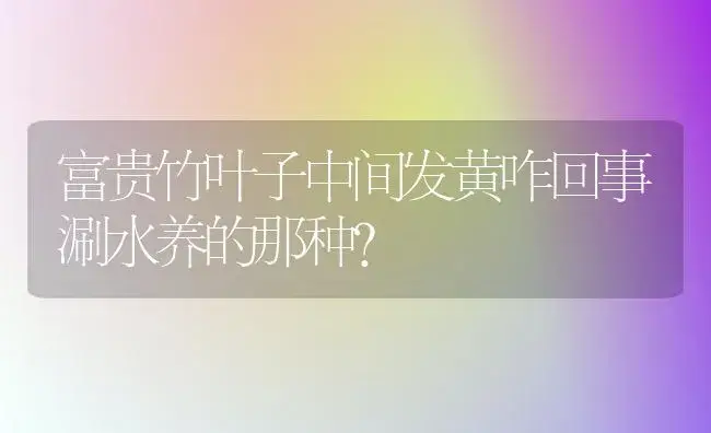 富贵竹叶子中间发黄咋回事涮水养的那种？ | 植物问答