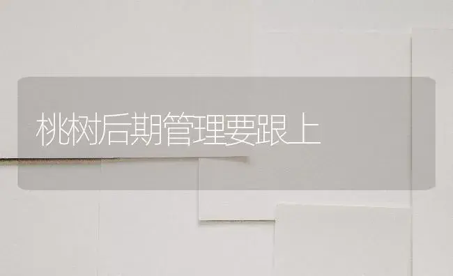 桃树后期管理要跟上 | 植物百科
