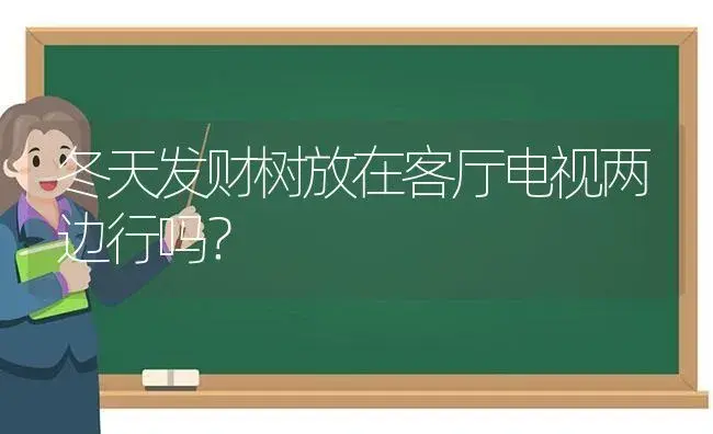 冬天发财树放在客厅电视两边行吗？ | 植物问答