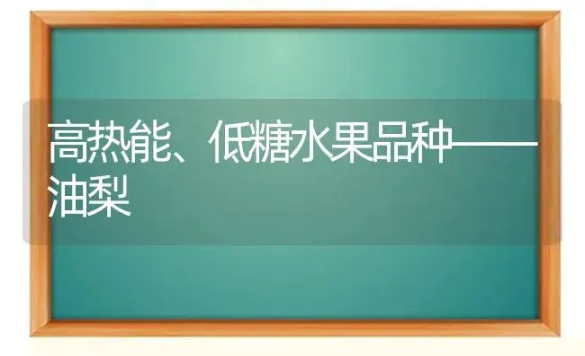 高热能、低糖水果品种——油梨 | 植物科普