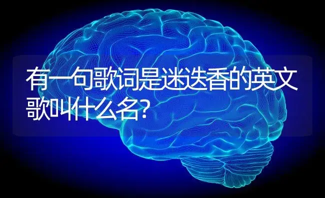 有一句歌词是迷迭香的英文歌叫什么名？ | 植物问答