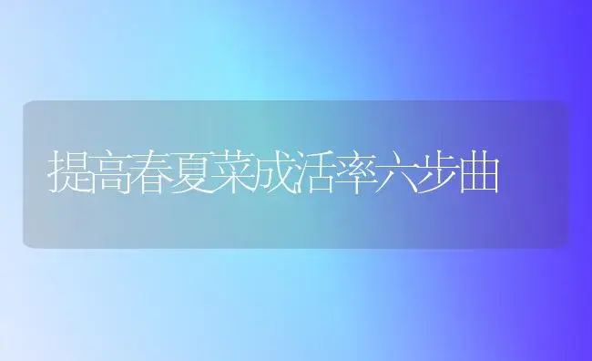 提高春夏菜成活率六步曲 | 植物百科