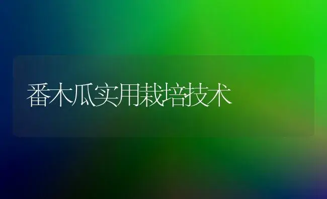 印度橡皮树介绍及养殖方法 | 植物科普