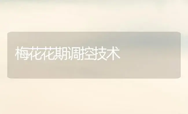 梅花花期调控技术 | 植物知识