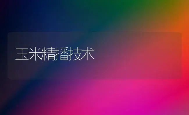 玉米精播技术 | 植物科普