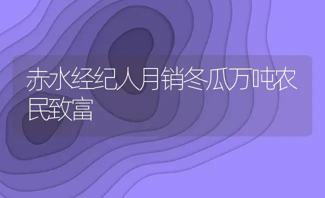 赤水经纪人月销冬瓜万吨农民致富 | 植物资料