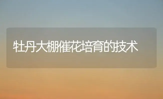 牡丹大棚催花培育的技术 | 植物知识
