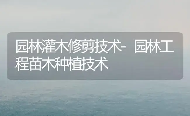 园林灌木修剪技术-园林工程苗木种植技术 | 植物科普