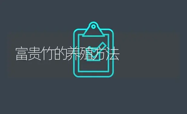 富贵竹的养殖方法 | 植物知识