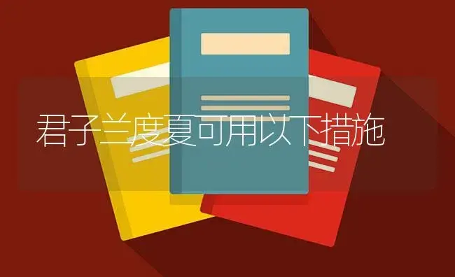 君子兰度夏可用以下措施 | 植物知识