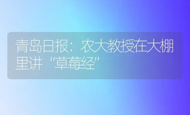 青岛日报：农大教授在大棚里讲“草莓经” | 植物百科