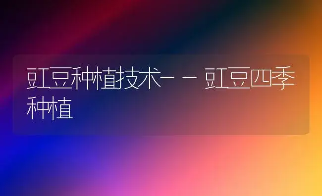 豇豆种植技术--豇豆四季种植 | 植物百科