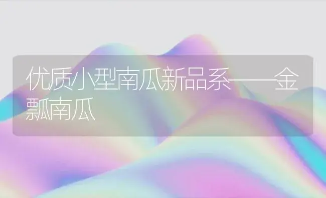 优质小型南瓜新品系――金瓢南瓜 | 植物百科