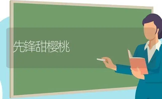 先锋甜樱桃 | 植物科普