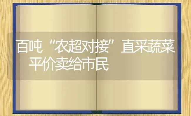 百吨“农超对接”直采蔬菜 平价卖给市民 | 植物百科